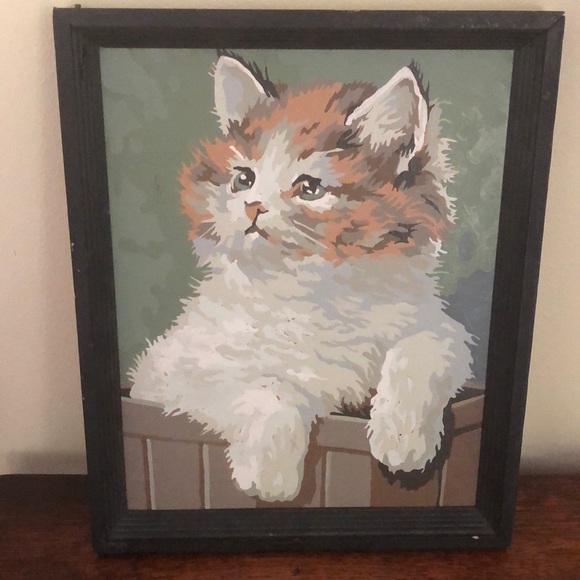 Other - Paint By Numbers Cat